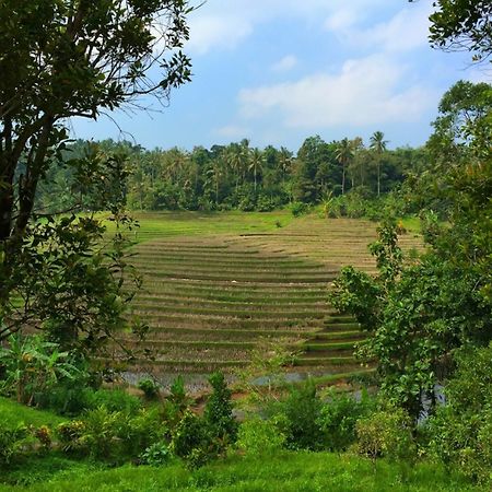 Bali Lush Bed and Breakfast Selemadeg  Exterior foto