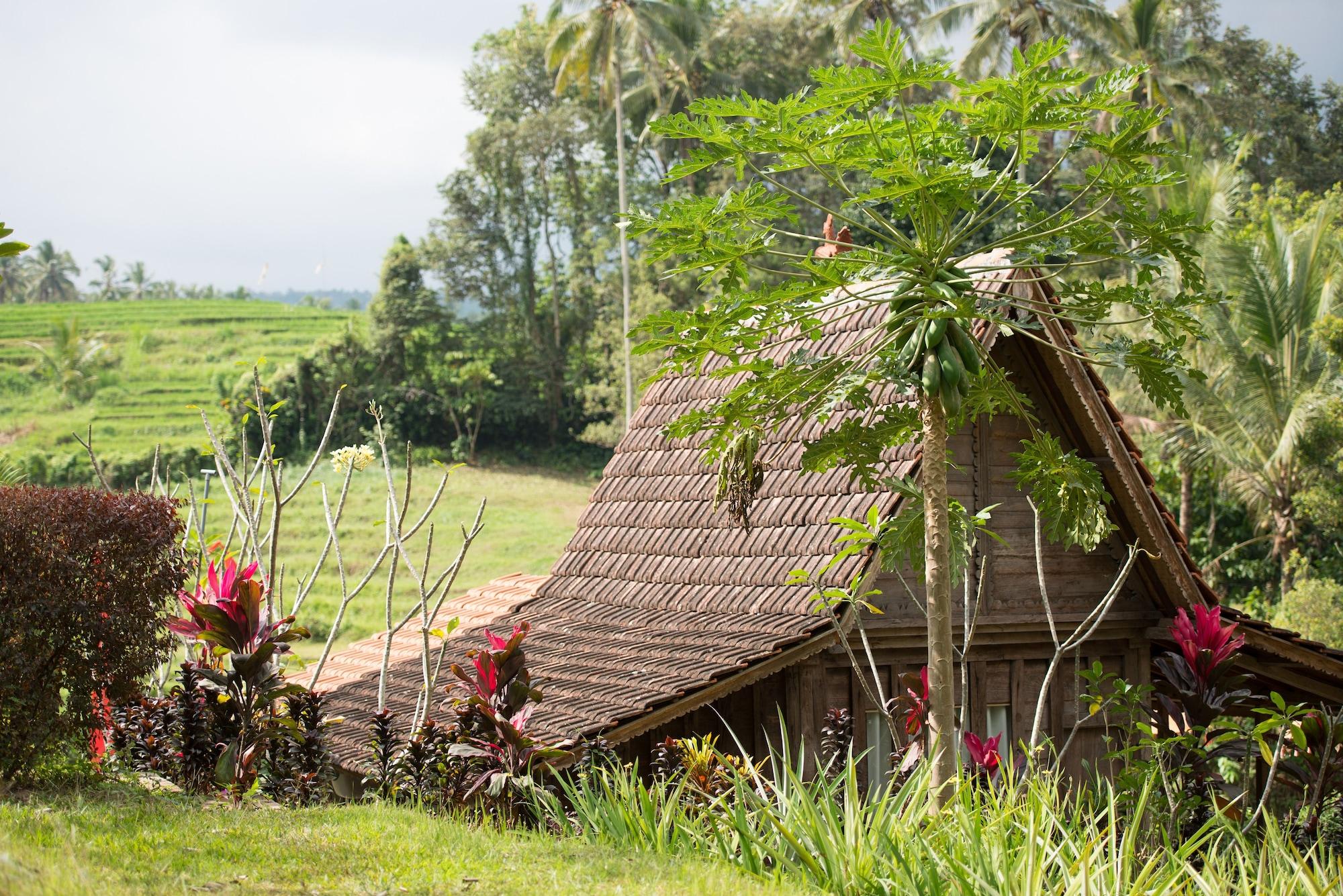 Bali Lush Bed and Breakfast Selemadeg  Exterior foto