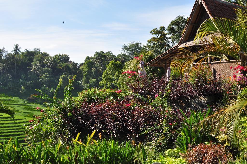 Bali Lush Bed and Breakfast Selemadeg  Exterior foto