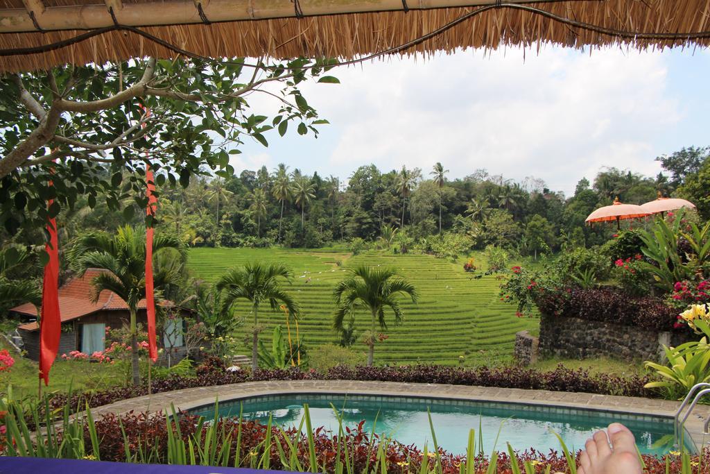 Bali Lush Bed and Breakfast Selemadeg  Exterior foto