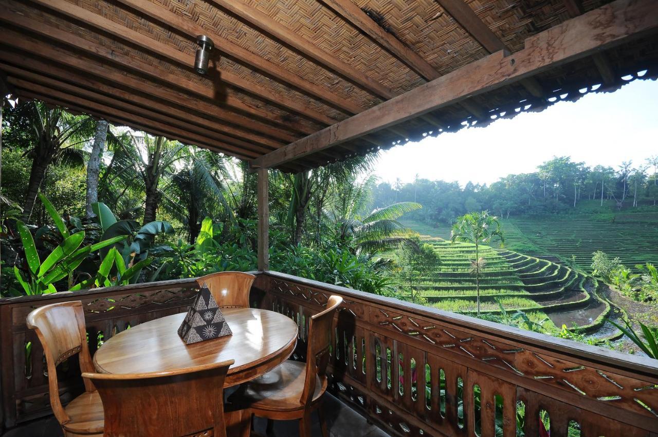 Bali Lush Bed and Breakfast Selemadeg  Exterior foto