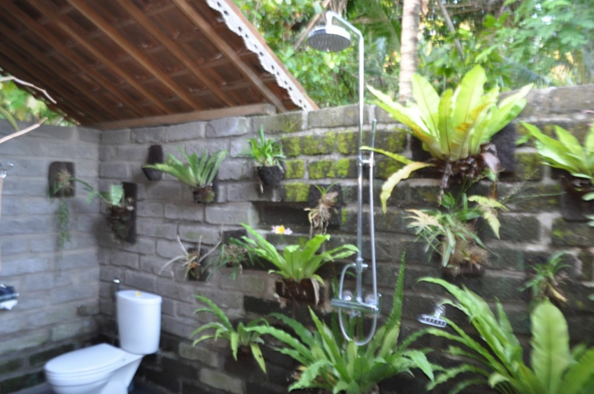 Bali Lush Bed and Breakfast Selemadeg  Exterior foto