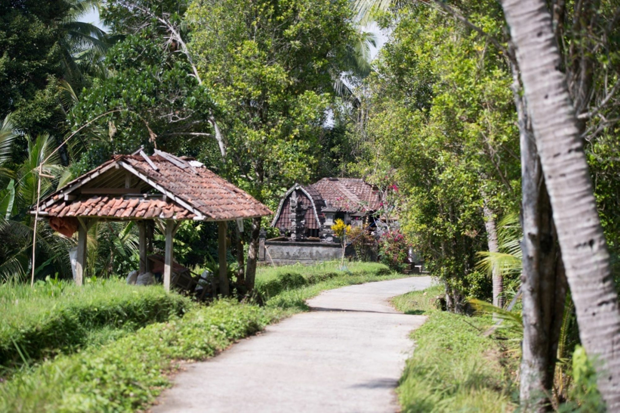 Bali Lush Bed and Breakfast Selemadeg  Exterior foto